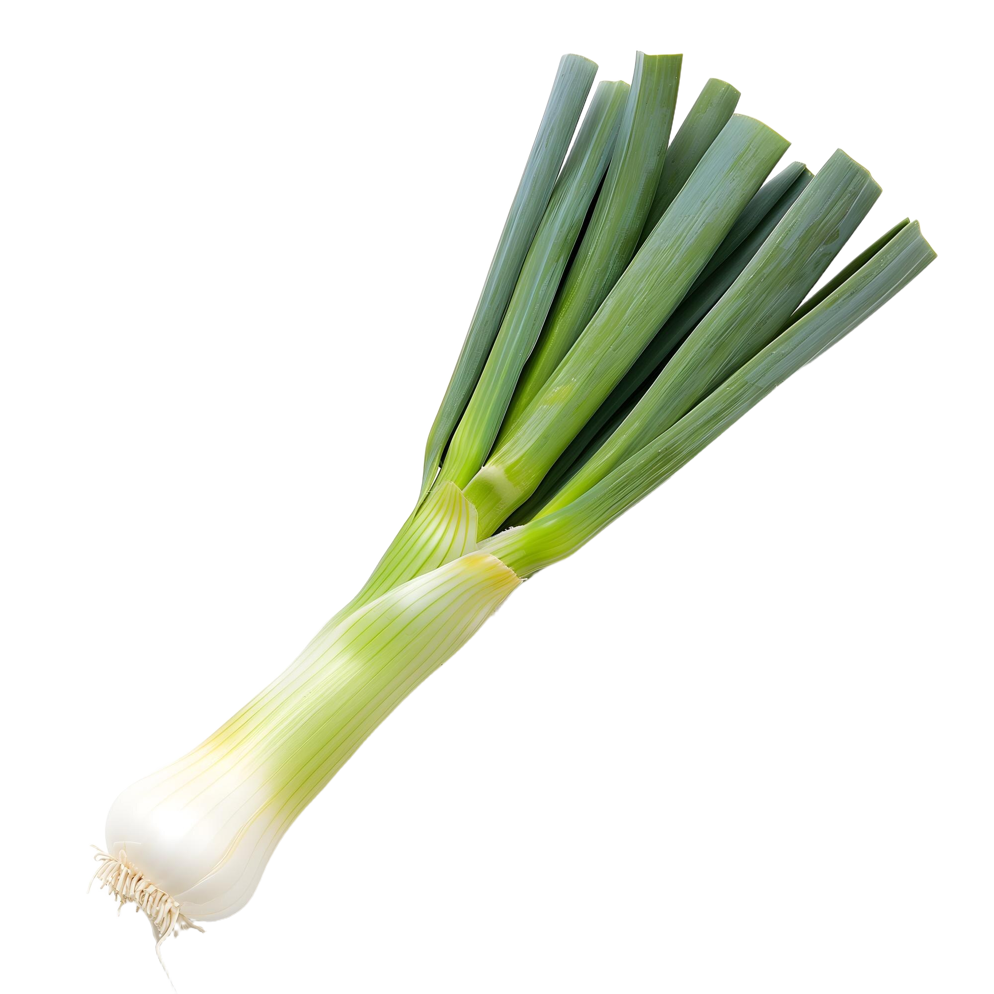 Puerro