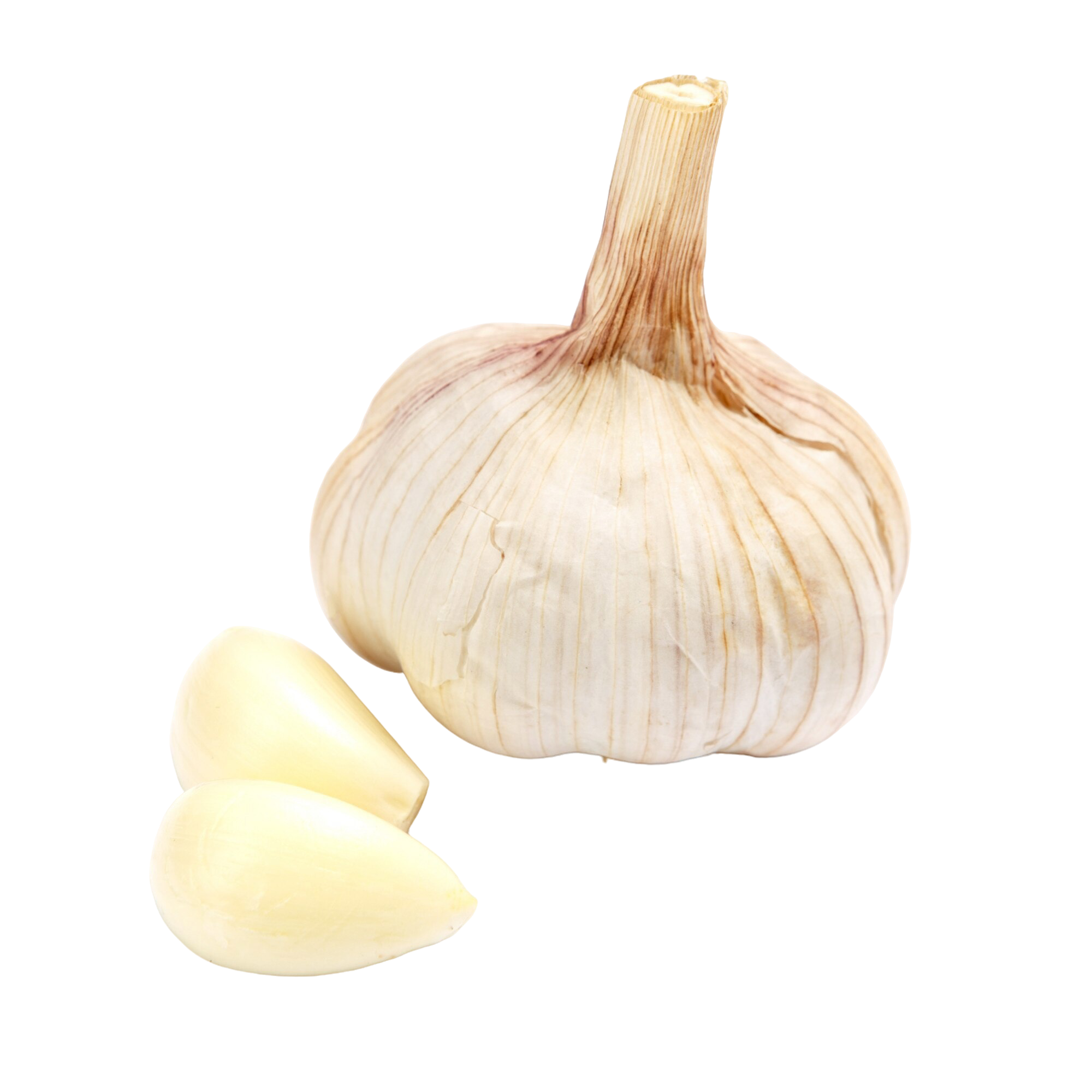 Ajo aislado blanco aislado