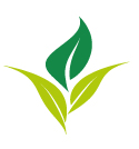 Logo avan europe solo hoja familia bioestimulantes