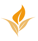 Logo avan europe solo hoja familia cosecha
