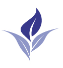Logo avan europe solo hoja familia especialidades