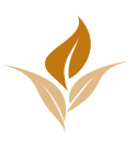 Logo avan europe solo hoja familia suelo