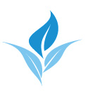Logo avan europe solo hoja familia especialidades