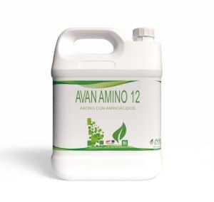 Avan Amino