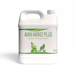 Avan Amino Plus
