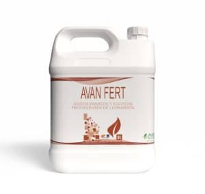 Avan Fert