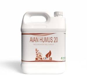 Avan Humus