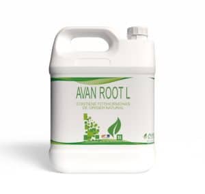 Avan Root L