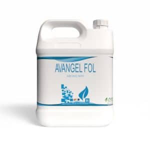 Avangel Fol