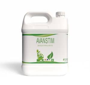Avanstim