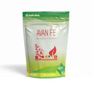 Avan Fe